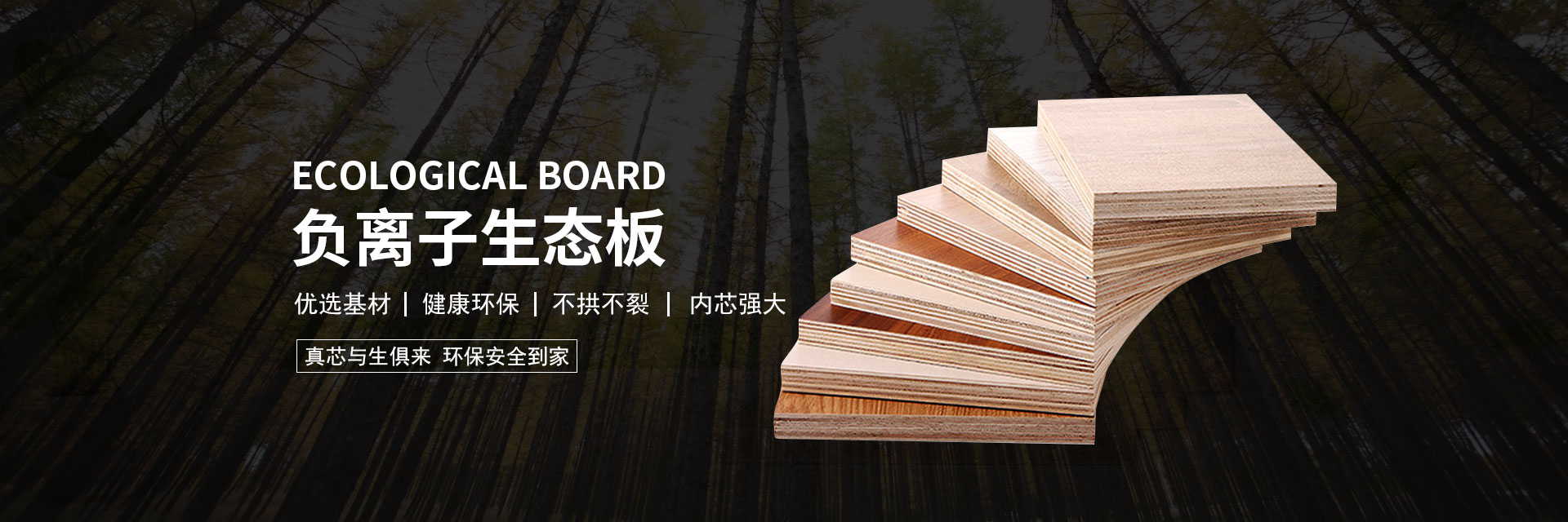 首页banner3